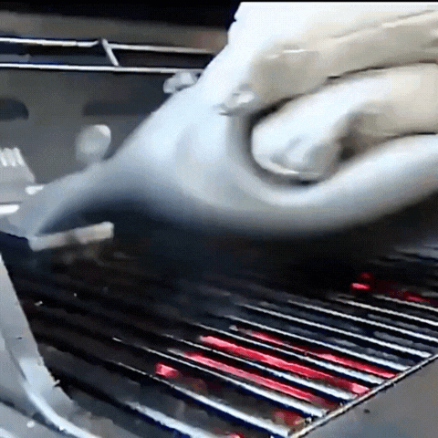 Grillara | Grillrengörare – Effektiv Ångteknik med Hållbar Kolskrapa